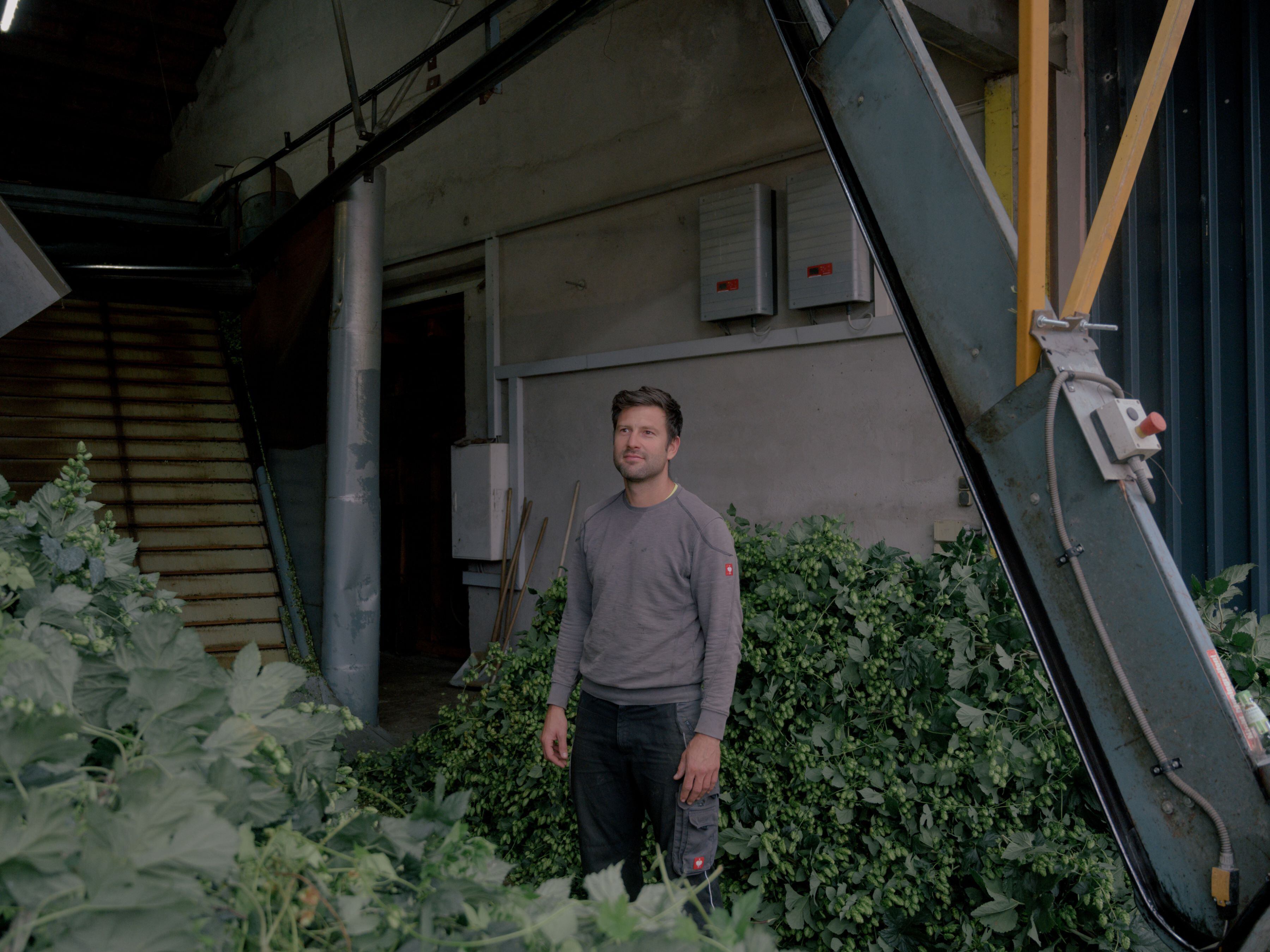 "Para nosotros es importante que todo el sistema funcione, que funcione en el futuro como ha funcionado en el pasado", afirma Andreas Auernhammer, cultivador de lúpulo en Spalt (Alemania)  (Ingmar Nolting/The New York Times)