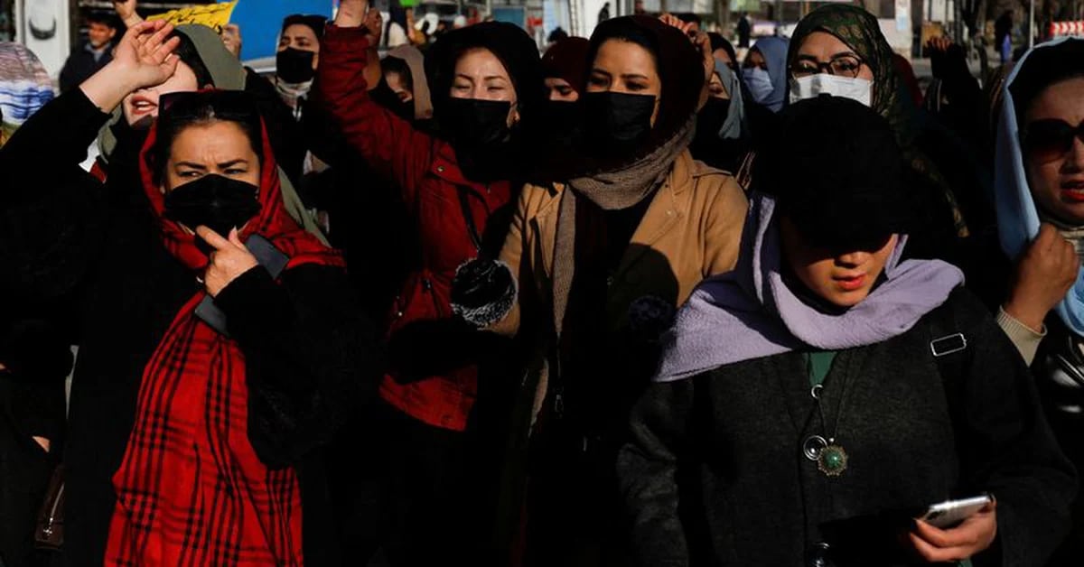 The Taliban regime has announced the start of a new university cycle without women in Afghanistan