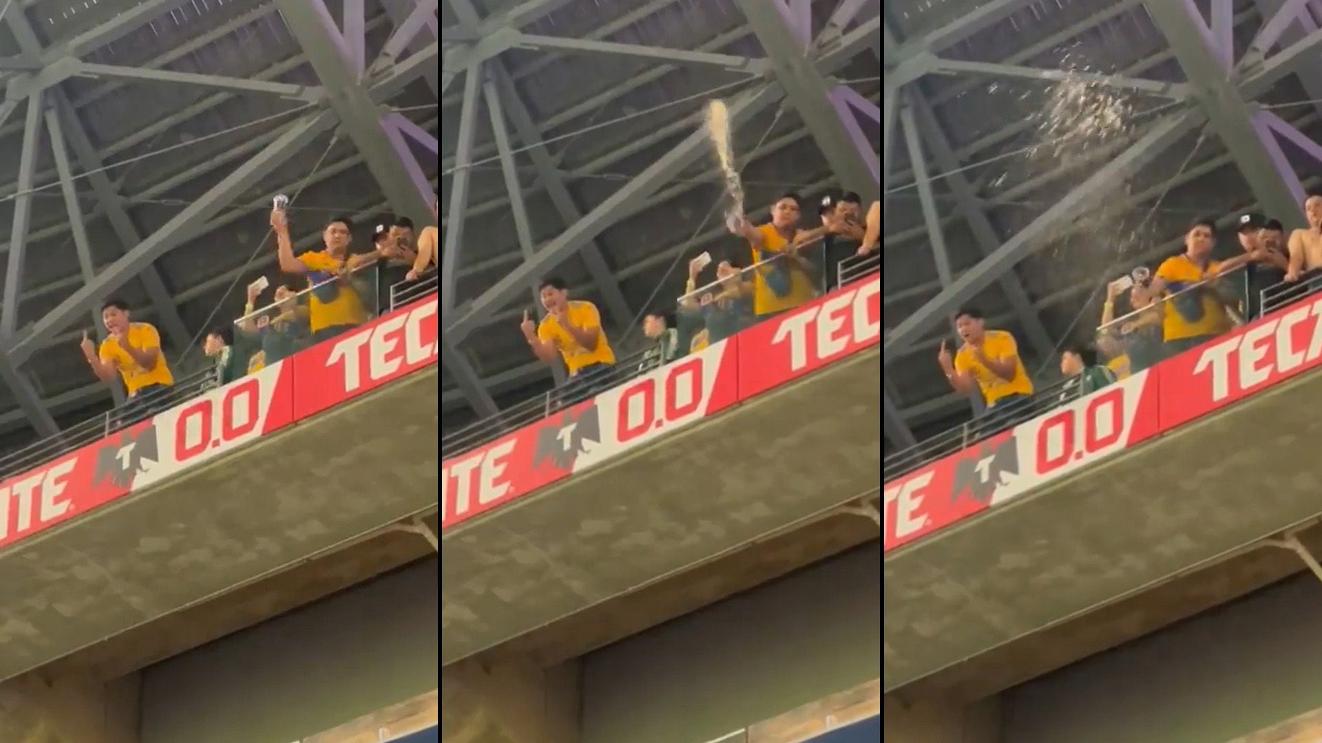 Aficionado de Tigres es captado tras orinar arrojando vaso a la porra de  Rayados | VIDEO - Infobae