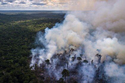 Humo cubre la Amazonía, cerca de reserva indígena cerca a Jundia, estado Roraima. Brasil, 28 de enero de 2019.