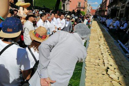 El Cerdo Mas Grande Del Mundo Record Guiness