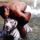 Mandatory Credit: Photo by Markson Sparks/Shutterstock (261215ag) MIKE TYSON PLAYING WITH PET TIGER MIKE TYSON PLAYING WITH PET TIGER, LOS ANGELES, AMERICA - 1996