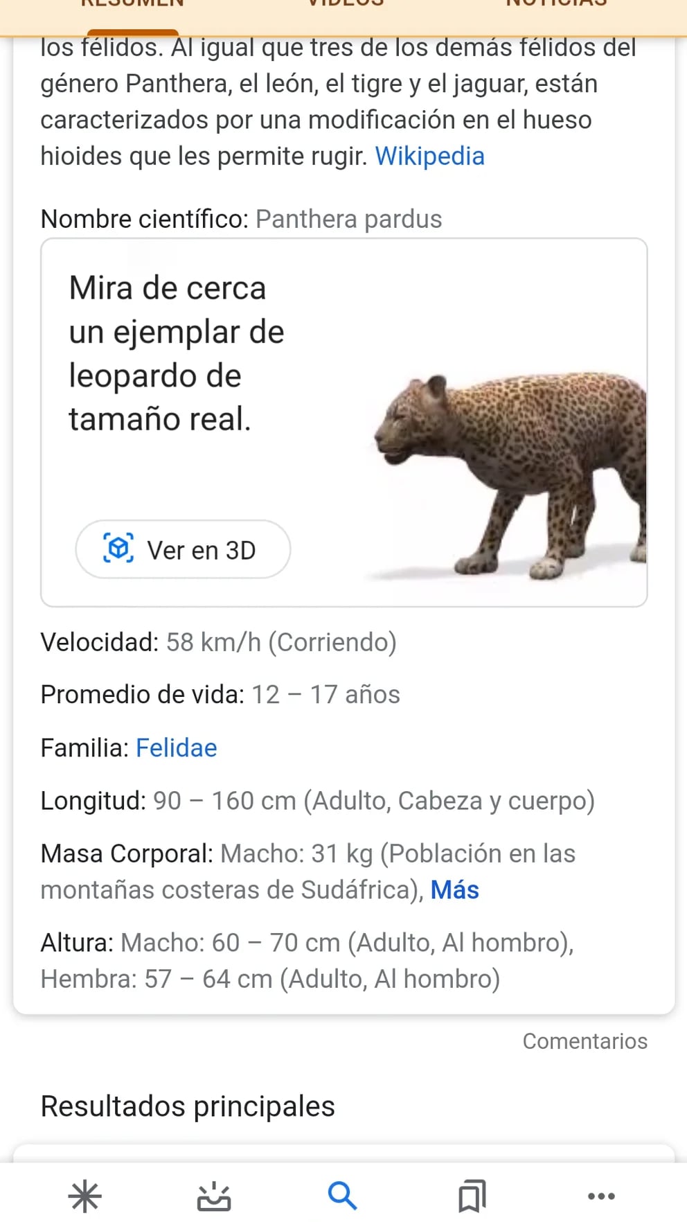 Cómo activar la realidad aumentada de Google para ver un tigre y otros  animales en 3D, paso a paso