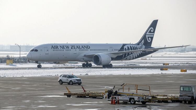 La aerolínea comenzó a cubrir la ruta Auckland-Taipei en noviembre de 2018 (Reuters)