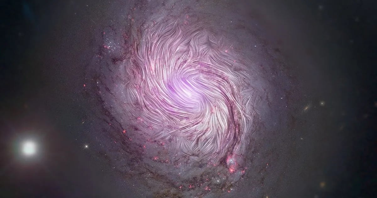 Eine revolutionäre Entdeckung: Ein Magnetfeld in einer fernen Galaxie könnte der Schlüssel zur Sternentwicklung sein