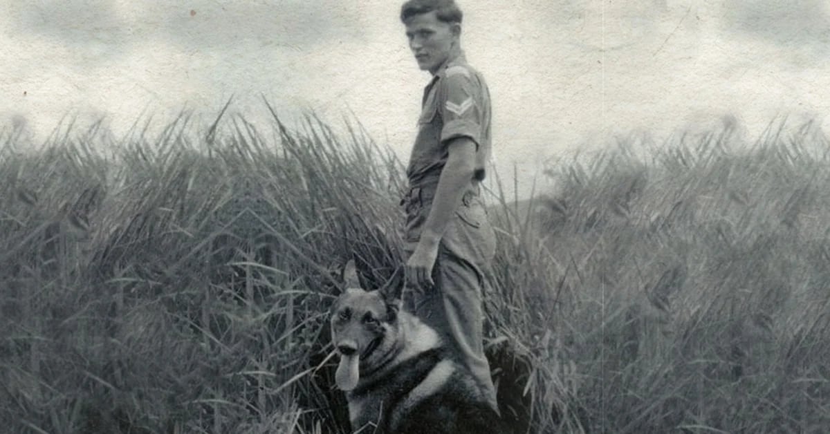 Lucky: the war hero dog who survived the harsh Malaysian jungle