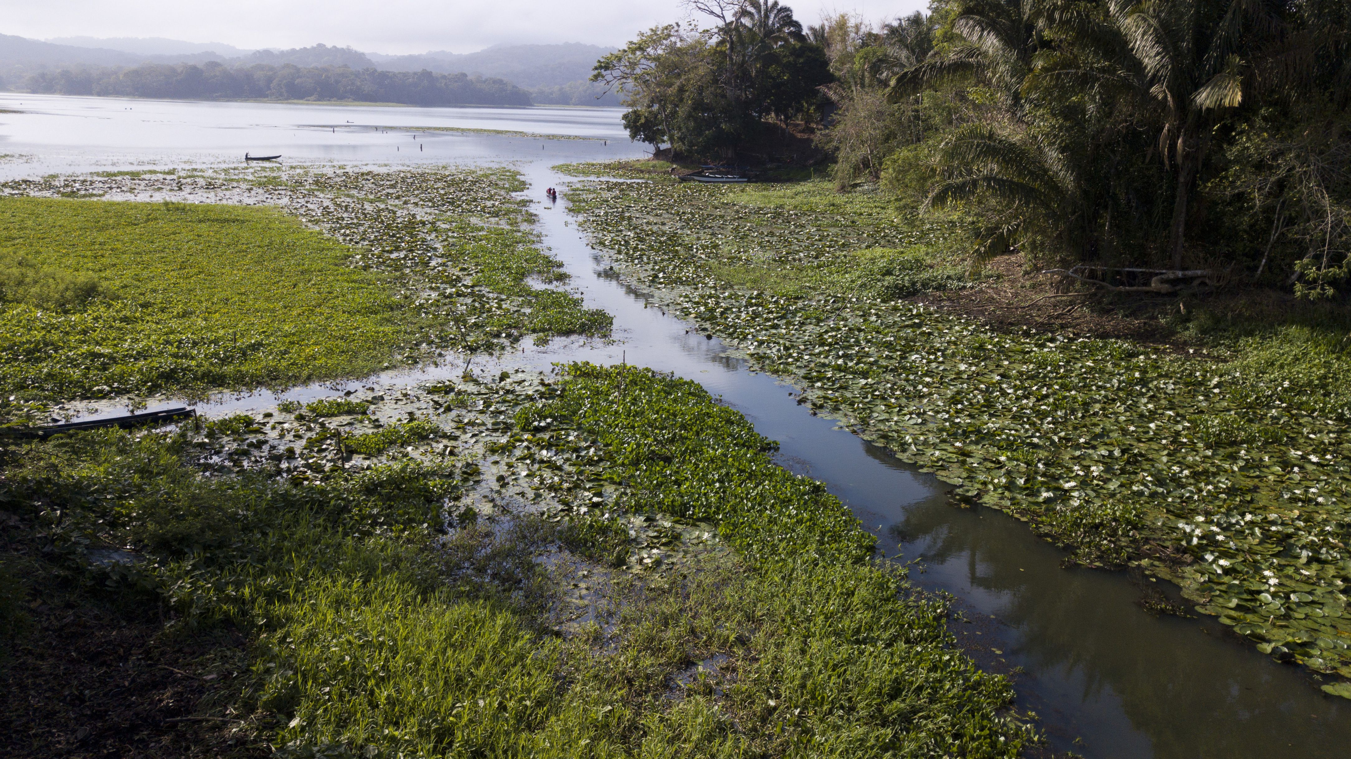 La falta de lluvias mantiene bajos los niveles de agua del Lago Gatún, que abastece al Canal (AP)