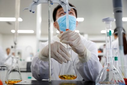 Trabajos en los laboratorios de Sinovac, en Beijing (Reuters)