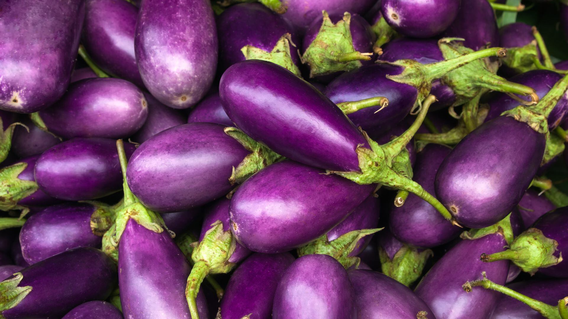 Las berenjenas son ricas en antioxidantes, específicamente nasunin, que se encuentra en la cáscara y le da su color púrpura (Getty Images)