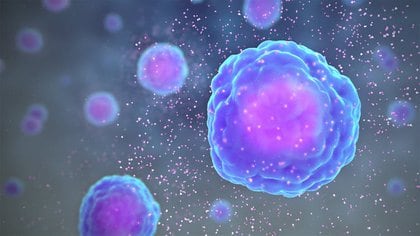 Las citocinas, pequeñas proteínas liberadas por una serie de células inmunitarias, desempeñan un papel clave en la dirección de la respuesta inmunitaria. (scientificanimations.com, CC BY-SA)