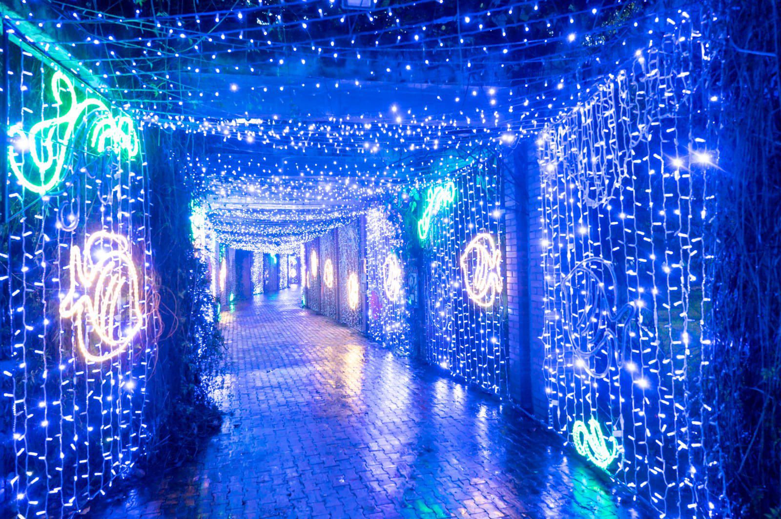 El próximo 6 de diciembre se dará inicio a la apertura del alumbrado navideño en el Jardín Botánico de Bogotá. Alcaldía de Bogotá.