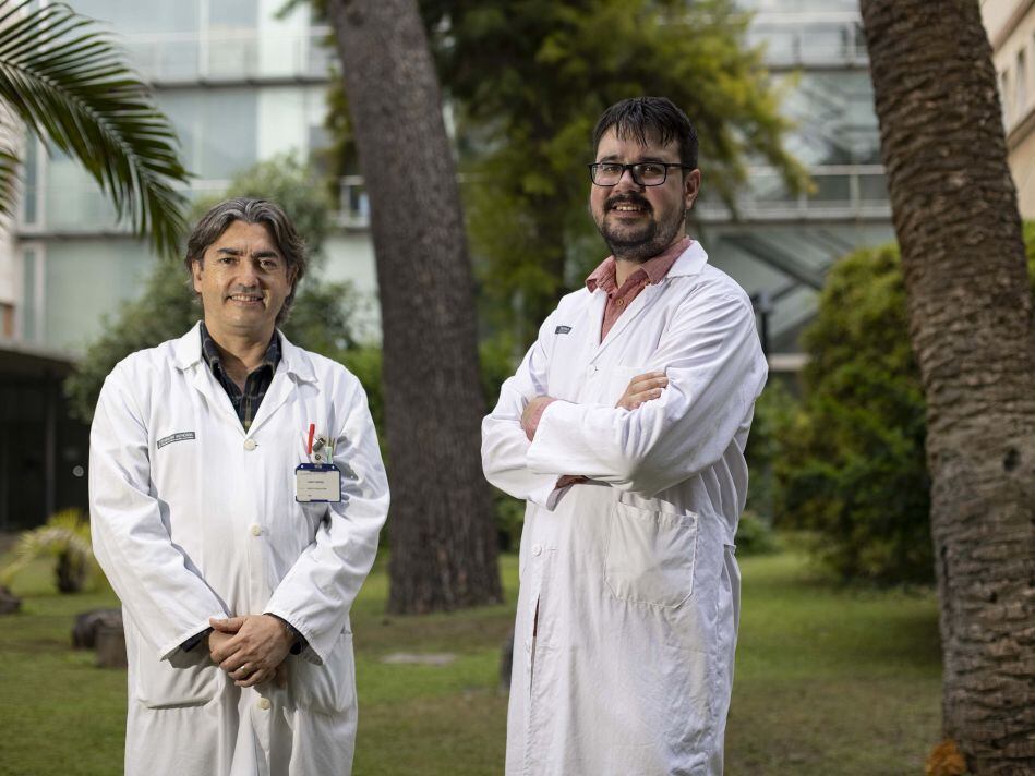 El profesor Gonzalo Haro y Francisco Rodríguez Ruiz, coautores del estudio. (Europa Press)