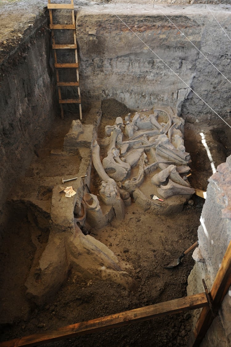 Con el descubrimiento, investigadores del INAH delimitaron la zona para iniciar el rescate de los restos óseos que serán patrimonio de la localidad (Foto: INAH /CUARTOSCURO – Archivo -)
