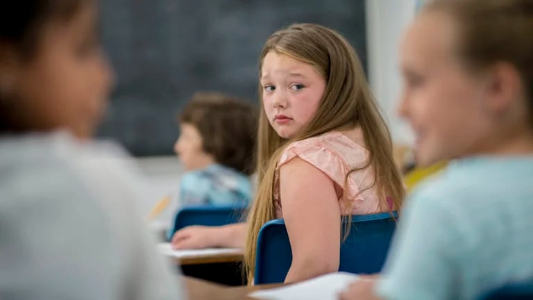  El bullying o acoso escolar es un entramado complejo con protagonistas menores y mayores que son actores fundamentales  