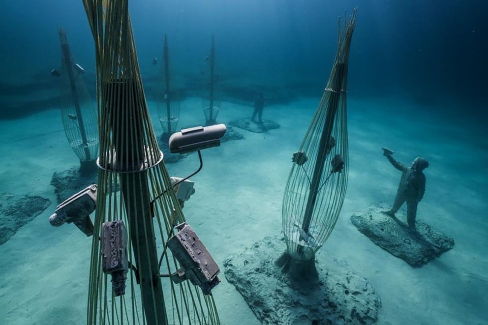 Las obras en el museo, ubicado en la ciudad turística de Ayia Napa, van desde lo botánico hasta lo figurativo, incluidas más de 90 esculturas de Jason deCaires Taylor, un artista británico conocido por sus creaciones específicas para el sitio que se convierten en arrecifes de coral artificiales