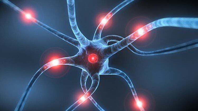 Cada minuto, el cerebro pierde 2 millones de neuronas ante un ACV no atendido