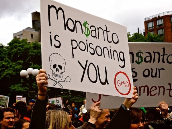 “Monsanto te está envenenando” asegura un manifestante, en medio de una protesta en contra de los alimentos genéticamente modificados