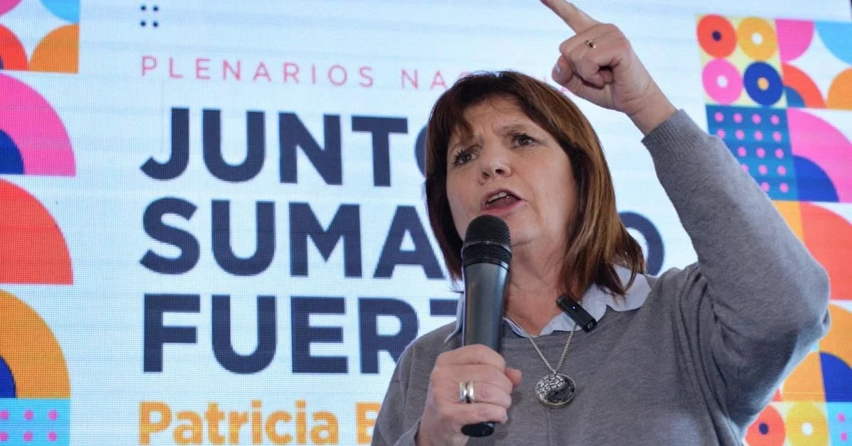Patricia Bullrich speaks out on her pre-candidacy for the presidency: “Nobody puts me down, even if Macri plays”