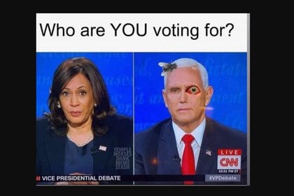 Meme sobre la mosca en el pelo de Pence con la frase "Por quien vas a votar"