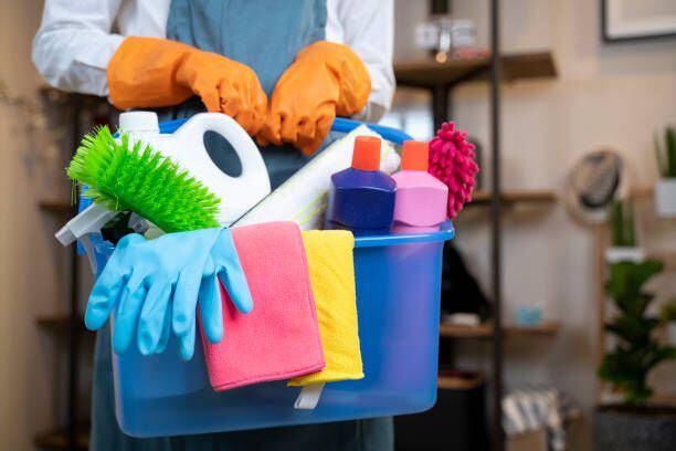 trabajadora del servicio doméstico sostiene una serie de productos de limpieza