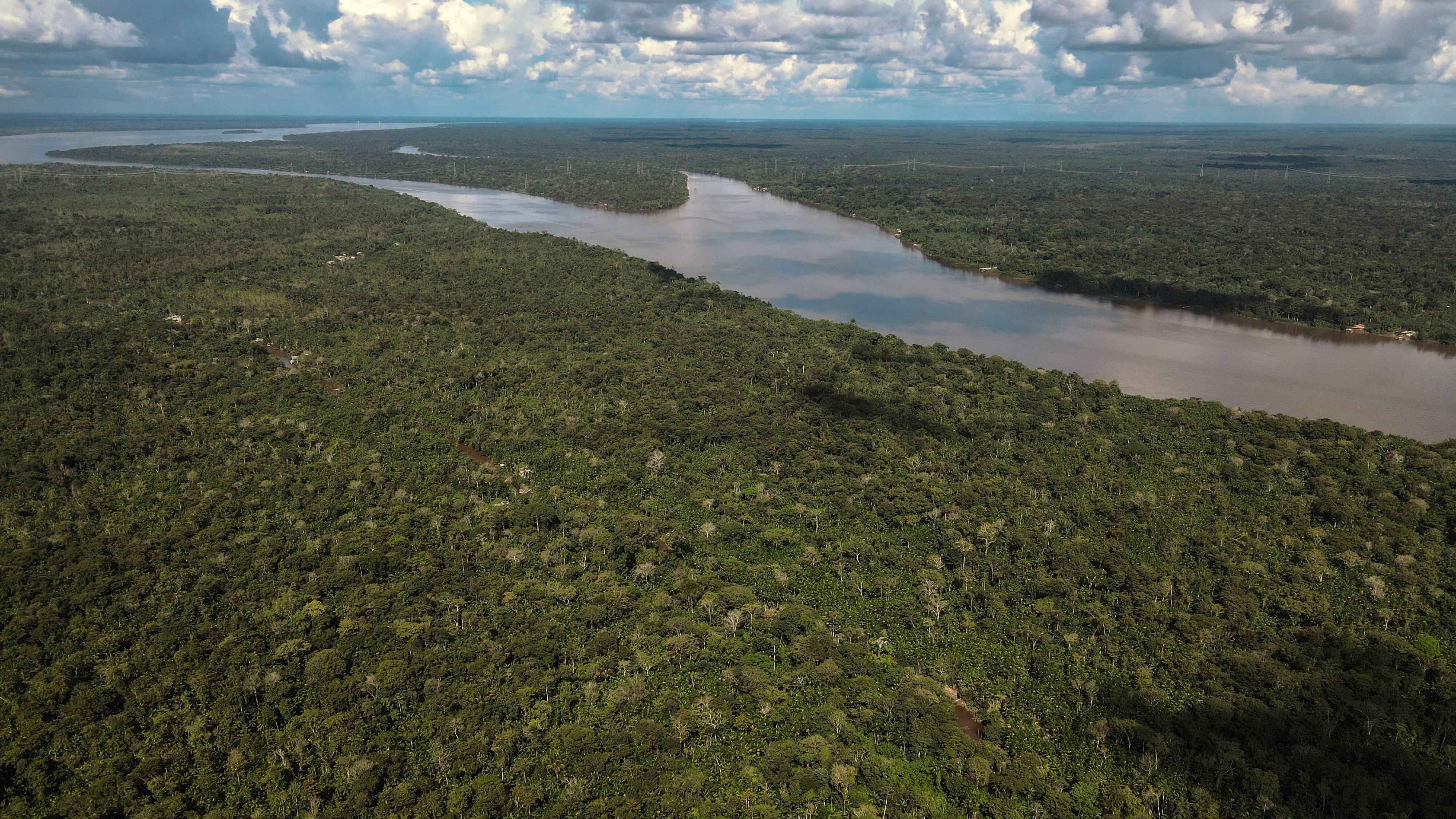 La procuradora destacó que los impactos de la deforestación en la Amazonía ya se están sintiendo en Bogotá - crédito Antonio Lacerda/EFE