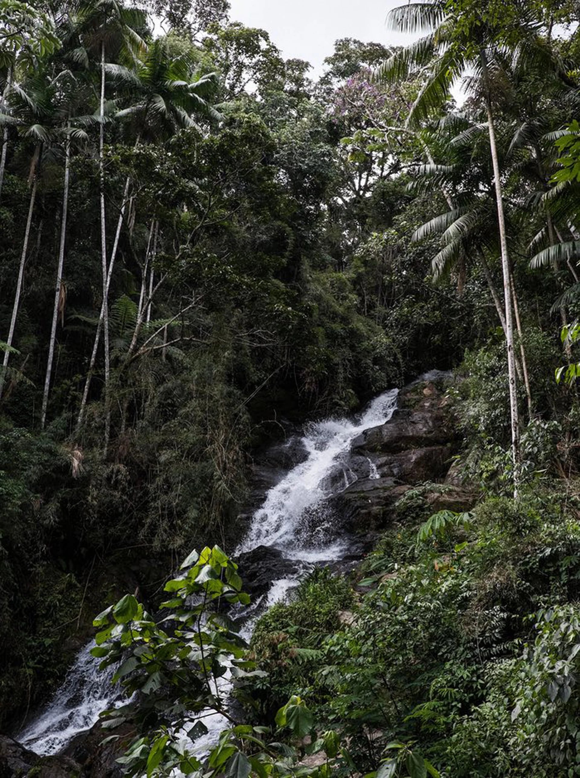 El área recuperó su vegetación, sus cursos de agua y su fauna (Tommaso Protti/The Guardian)