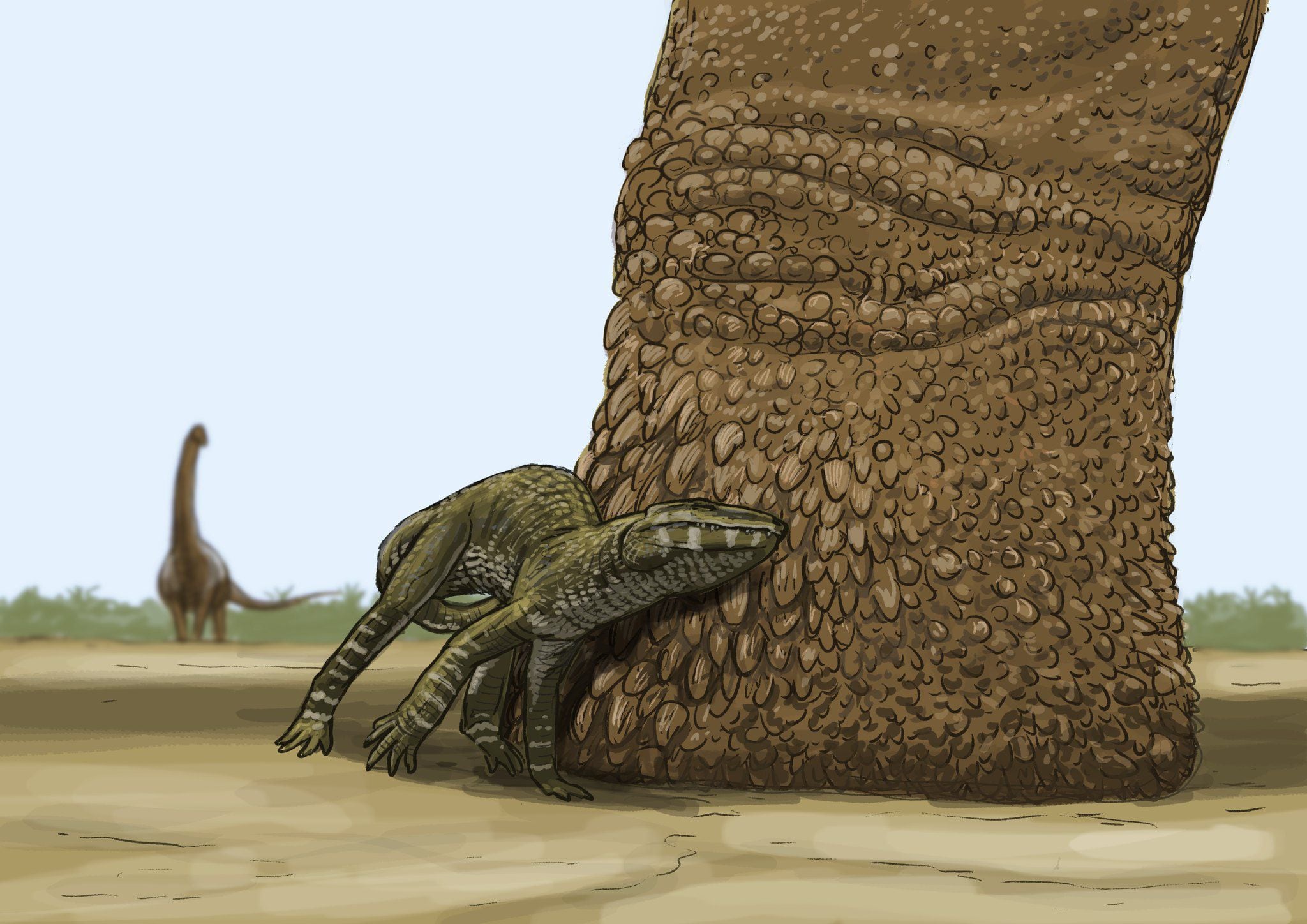 En esta ilustración se ve la pata de un dinosaurio saurópodo junto con un pequeño cocodrilo, que habitaban en Patagonia/Joschua Knuppe