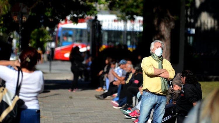 (Aglaplata)