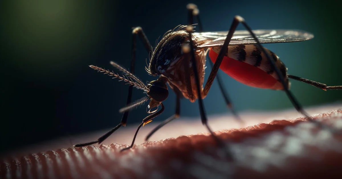 Global warming and its impact on global health due to the greater presence of mosquitoes