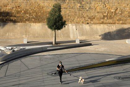 En este estudio la fuerza del vínculo emocional con las mascotas no difirió estadísticamente según la especie animal (REUTERS)