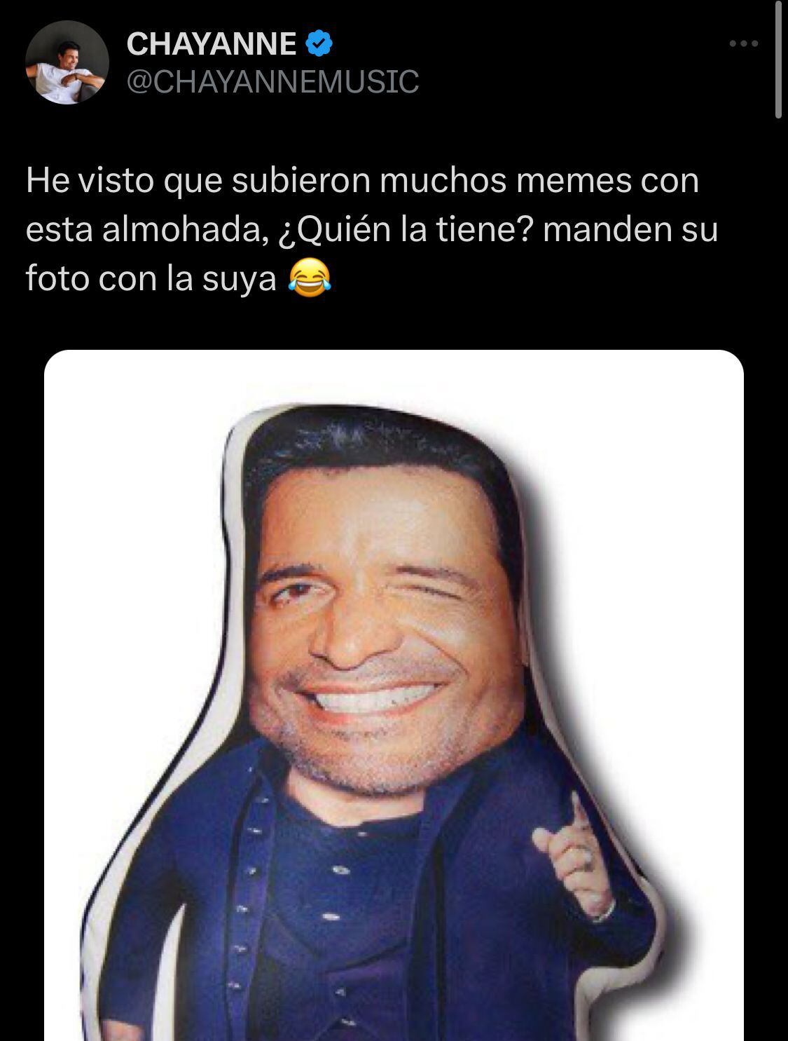 Chayanne Meme Almohada Almohada De Chayanne Chiquito MercadoLibre