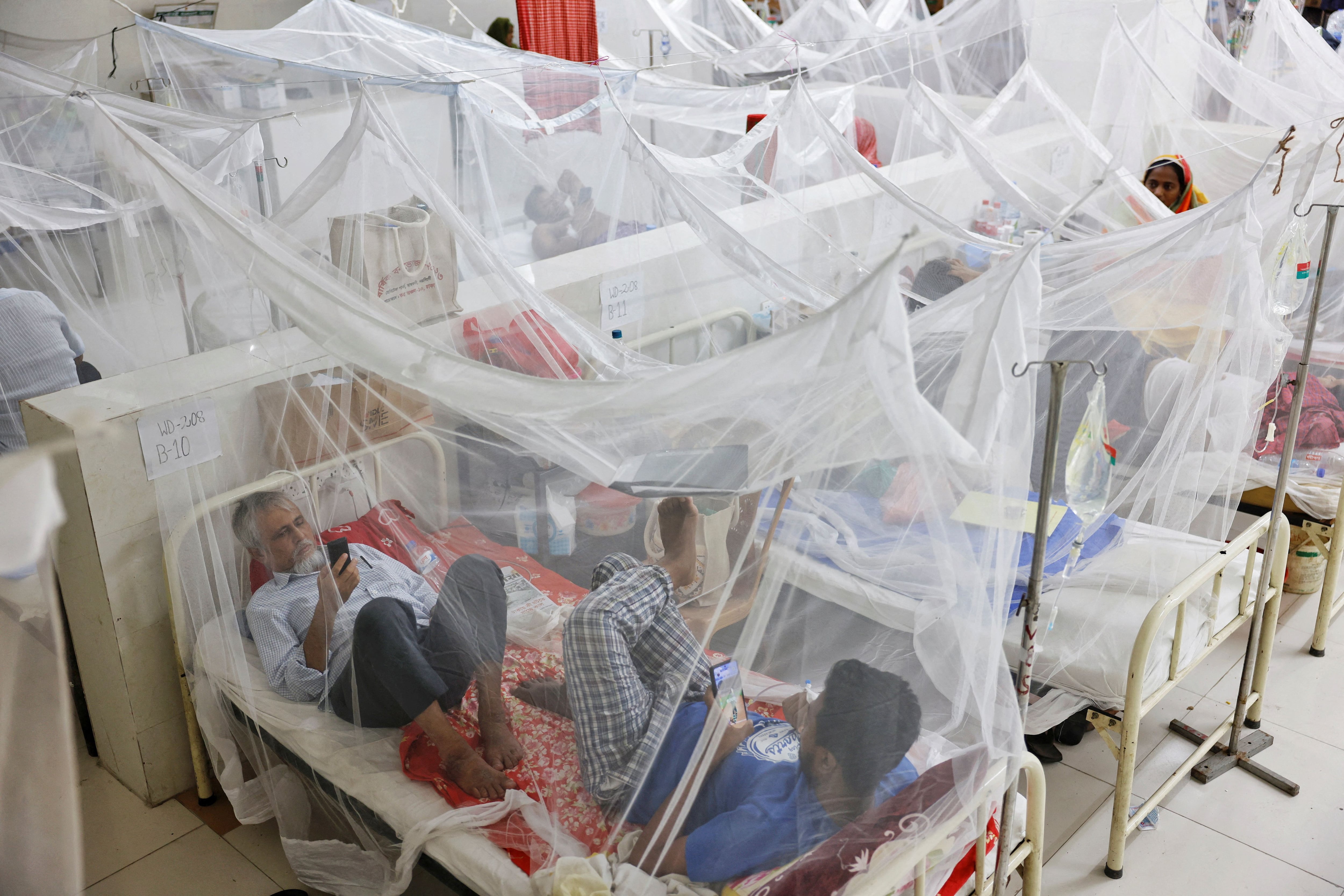 Expertos afirman que se puede anticipar el dengue grave si uno está atento a los síntomas (REUTERS/Mohammad Ponir Hossain/File Photo)
