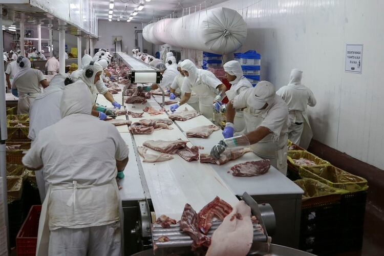 Especialistas recomiendan pensar en la exportación, que motorice el desarrollo del negocio del cerdo Foto: Augusto Famulari