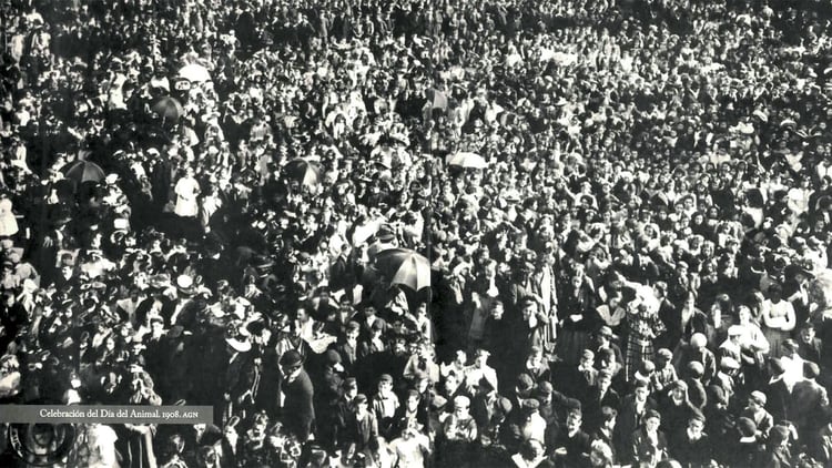 Fiesta del Día del Animal. En 1908, tras dos años de insistencia, Ignacio Albarracín logró que Argentina tenga un día dedicado a hablar de los animales. Cerca de 15 mil personas asistieron a la primera celebración en Buenos Aires. (Libro: 