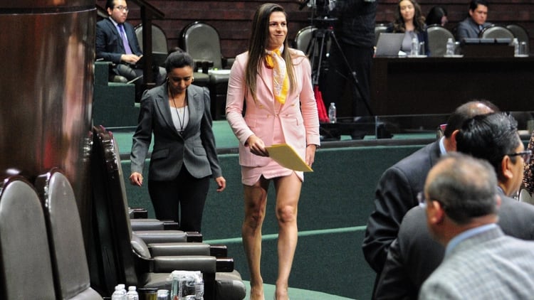 Ana Guevara fue citada por Ernesto D’Alessio para rendir cuentas a la Cámara de Diputados (Foto: Cuartoscuro)