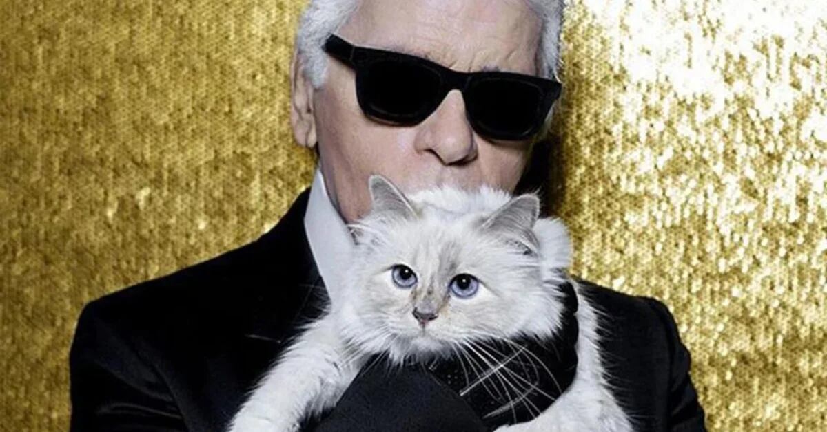 Where is Choupette, the cat who fell in love with Karl Lagerfeld and inherited part of his fortune