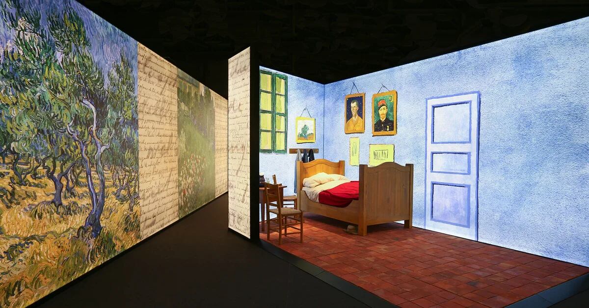 “Meet Vincent van Gogh”: the immersive art exhibition that allows you to discover the works of the famous artist