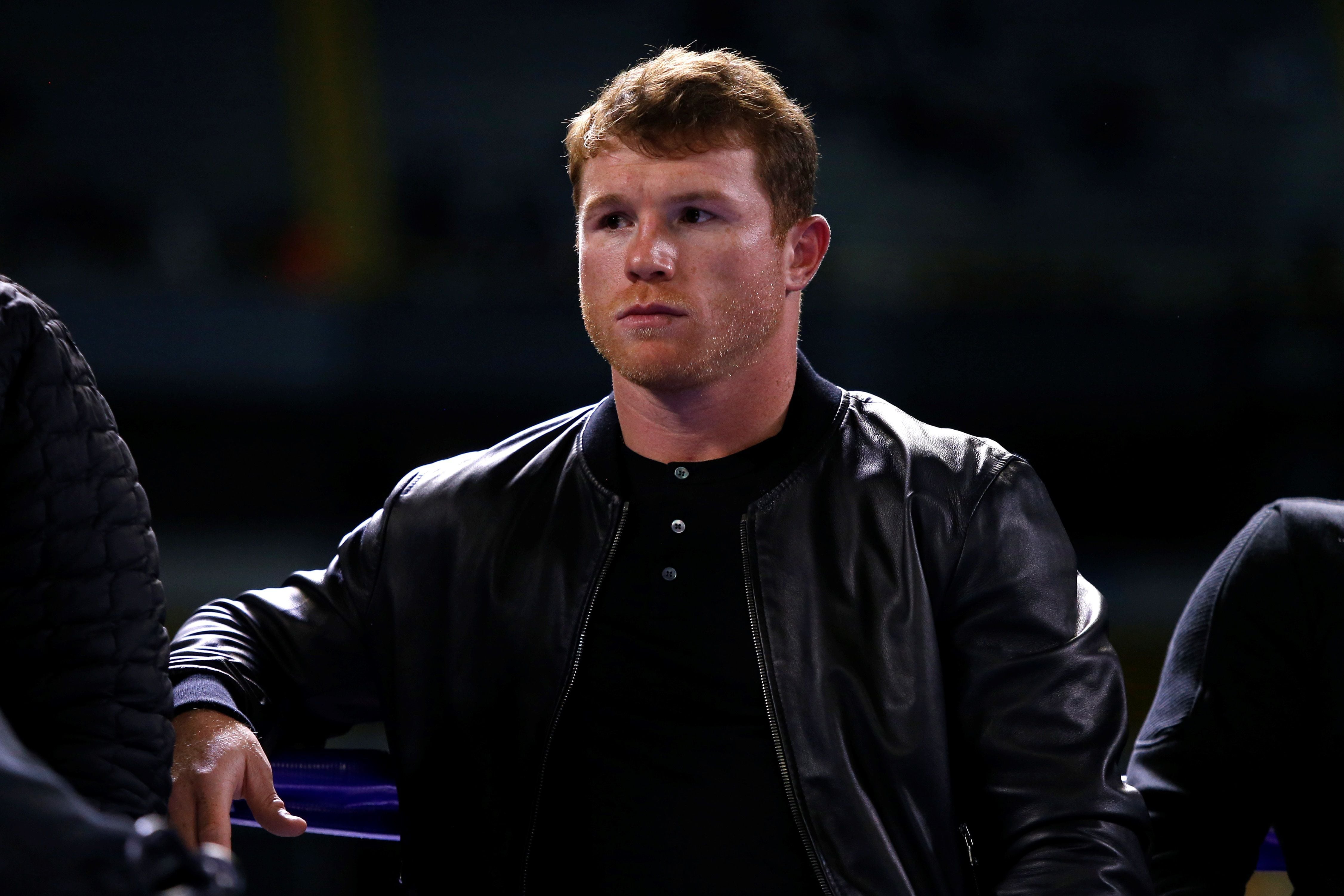 Canelo Álvarez has the objective of becoming world champion in five different divisions (Photo: EFE / Francisco Guasco)