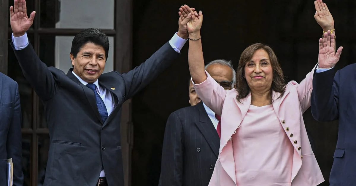 Ipsos: 32% of Peruvians blame Dina Boluarte for the political crisis and 43% believe that Pedro Castillo orchestrated the coup
