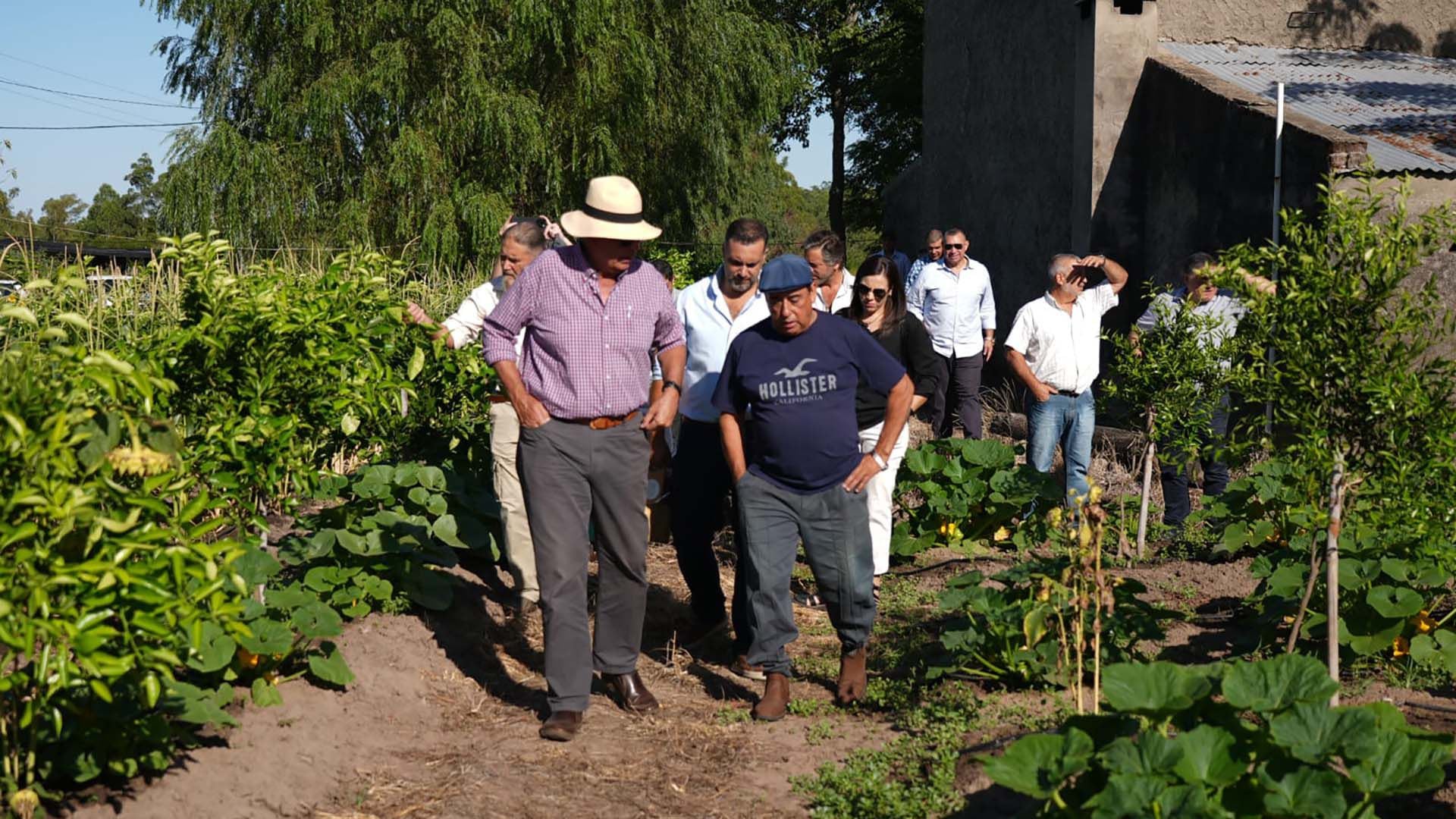 El ministro de Ganadería y Agricultura de Uruguay, Fernando Mattos, recorre plantaciones hortícolas y cítricas en el norte del país.