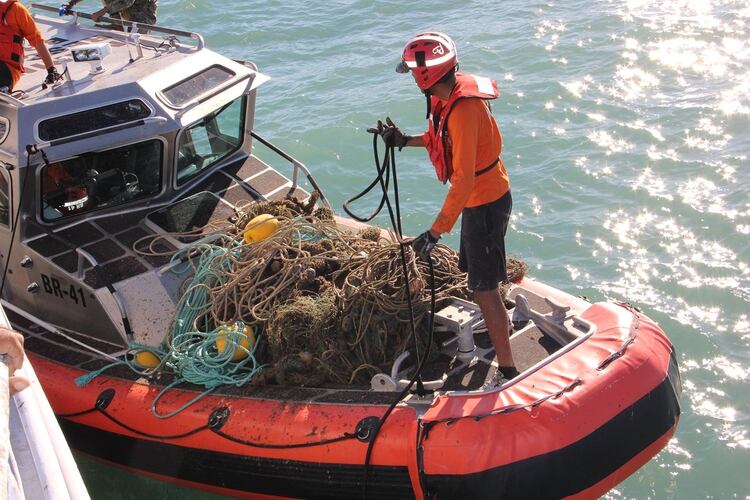 Las redes de enmalle que se usan para cazar otras especies ahogan a la vaquita marina (Foto: Archivo)