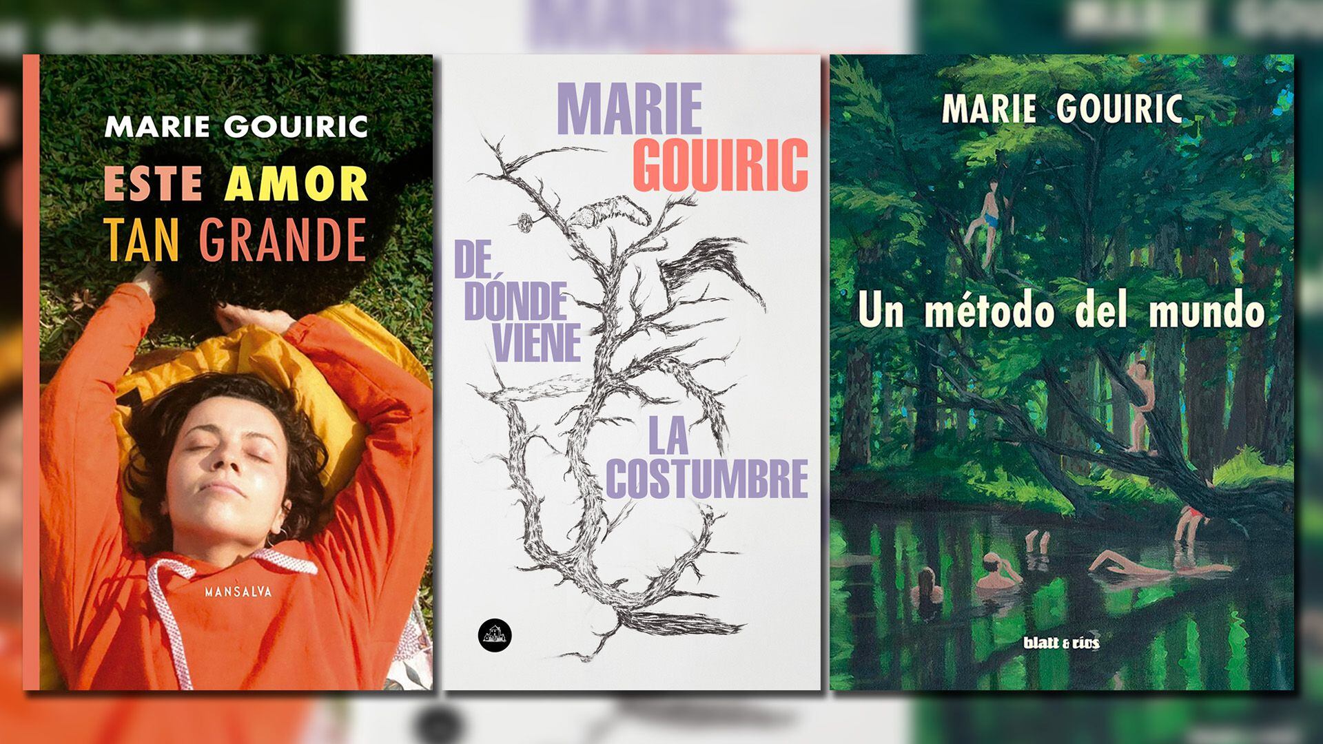 Además de su segunda novela, "Ese tiempo que tuvimos por corazón", Gouiric escribió los poemarios "Un método del mundo" (Blatt & Ríos) y "Este amor tan grande" (Mansalva), así como su debut en la narrativa "De dónde viene la costumbre" (Random House). 