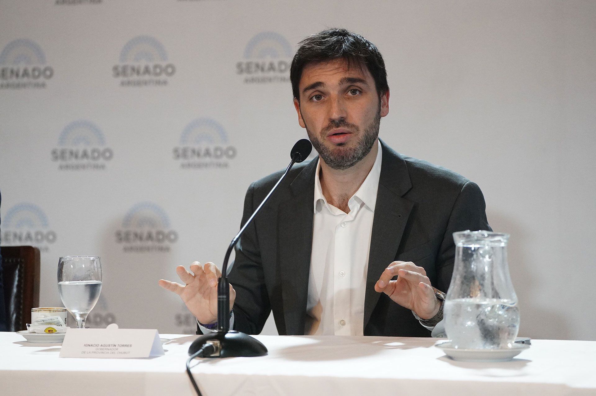 Conferencia de prensa en el Senado - Nacho Torres