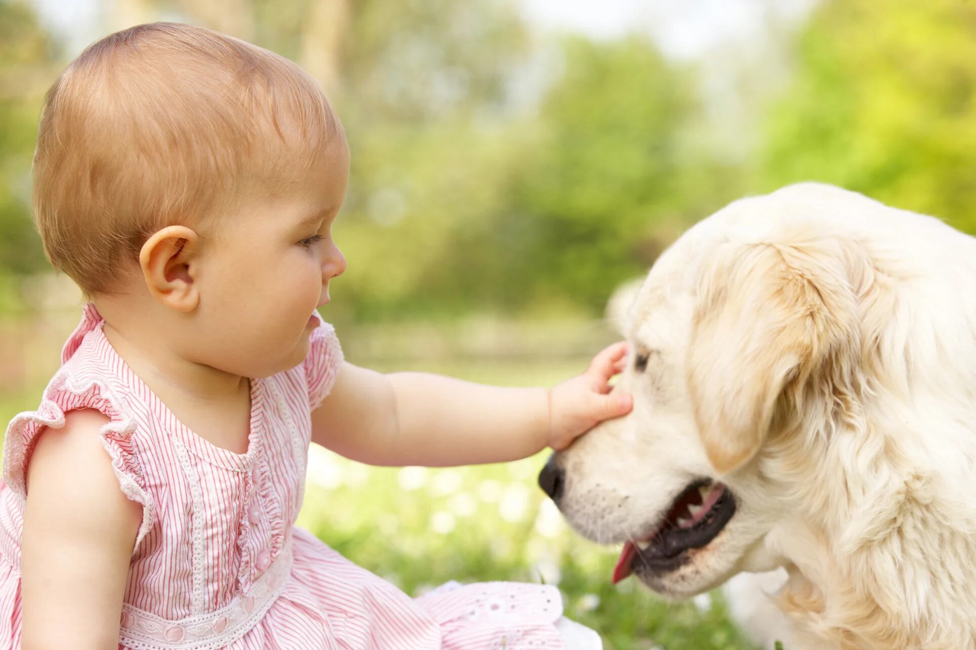 Un bebé se encuentra al mismo nivel de empatía que un perro cachorro (iStock)