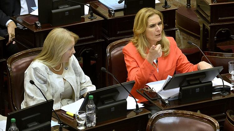 Silvia Elías de Pérez, senadora por Tucumán (Gustavo Gavotti)