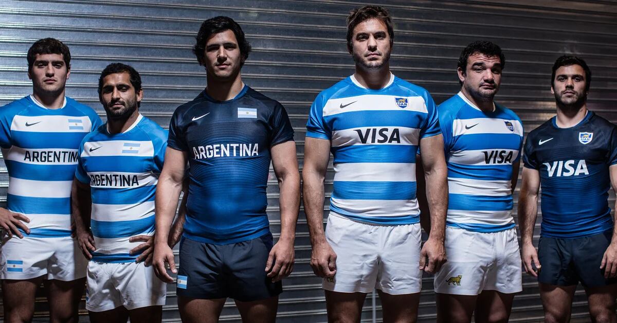 Porque vendaje Mitones Así son las nuevas camisetas de los Pumas para el Rugby Championship -  Infobae