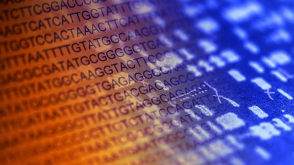 Además de estudiar el genoma, que conforma la colección completa de ADN, los investigadores desentrañaron cómo funcionan todos esos elementos químicos que configuran el llamado epigenoma humano
