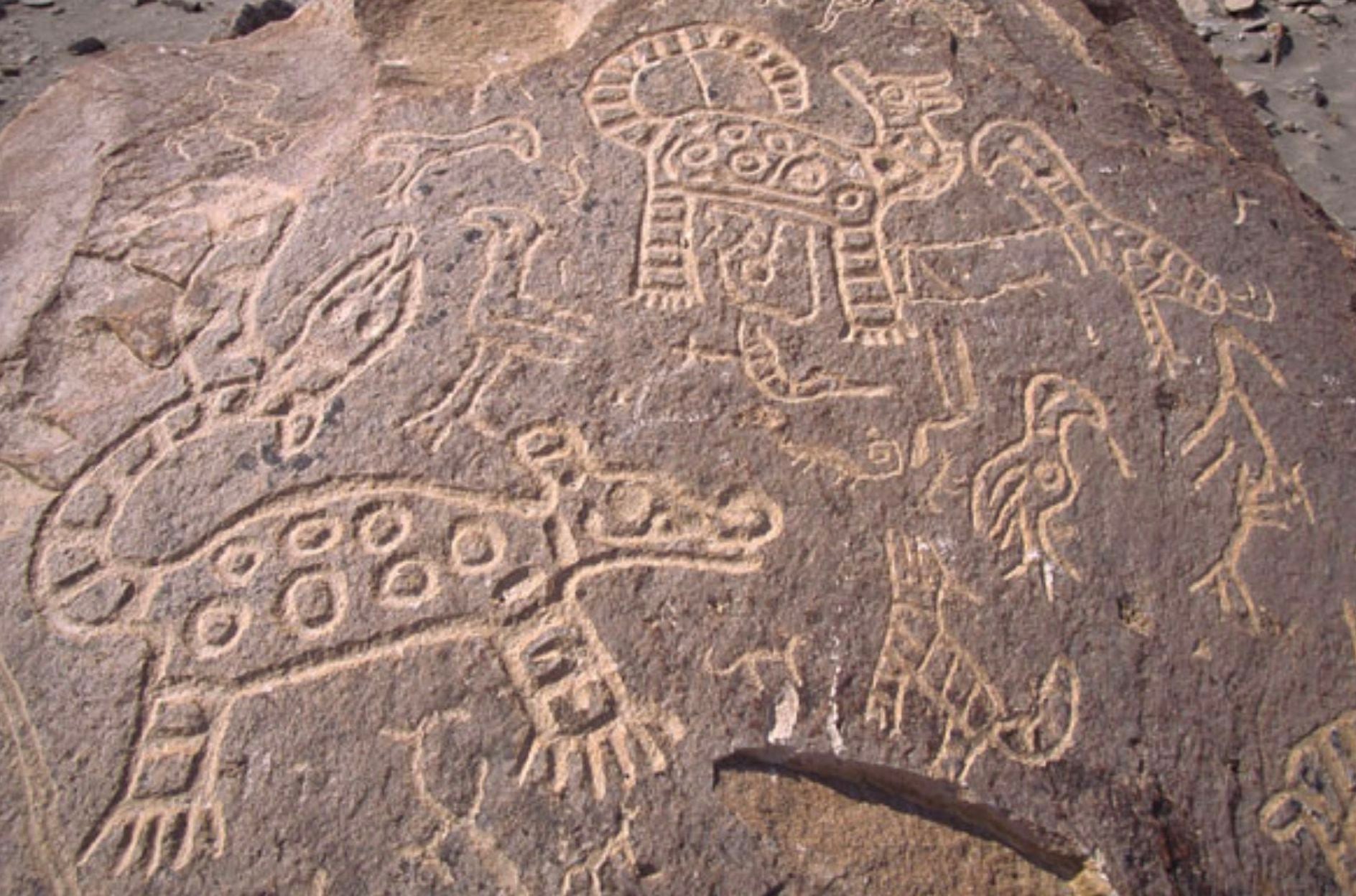 Petroglifos de Toro Muerto – Arequipa