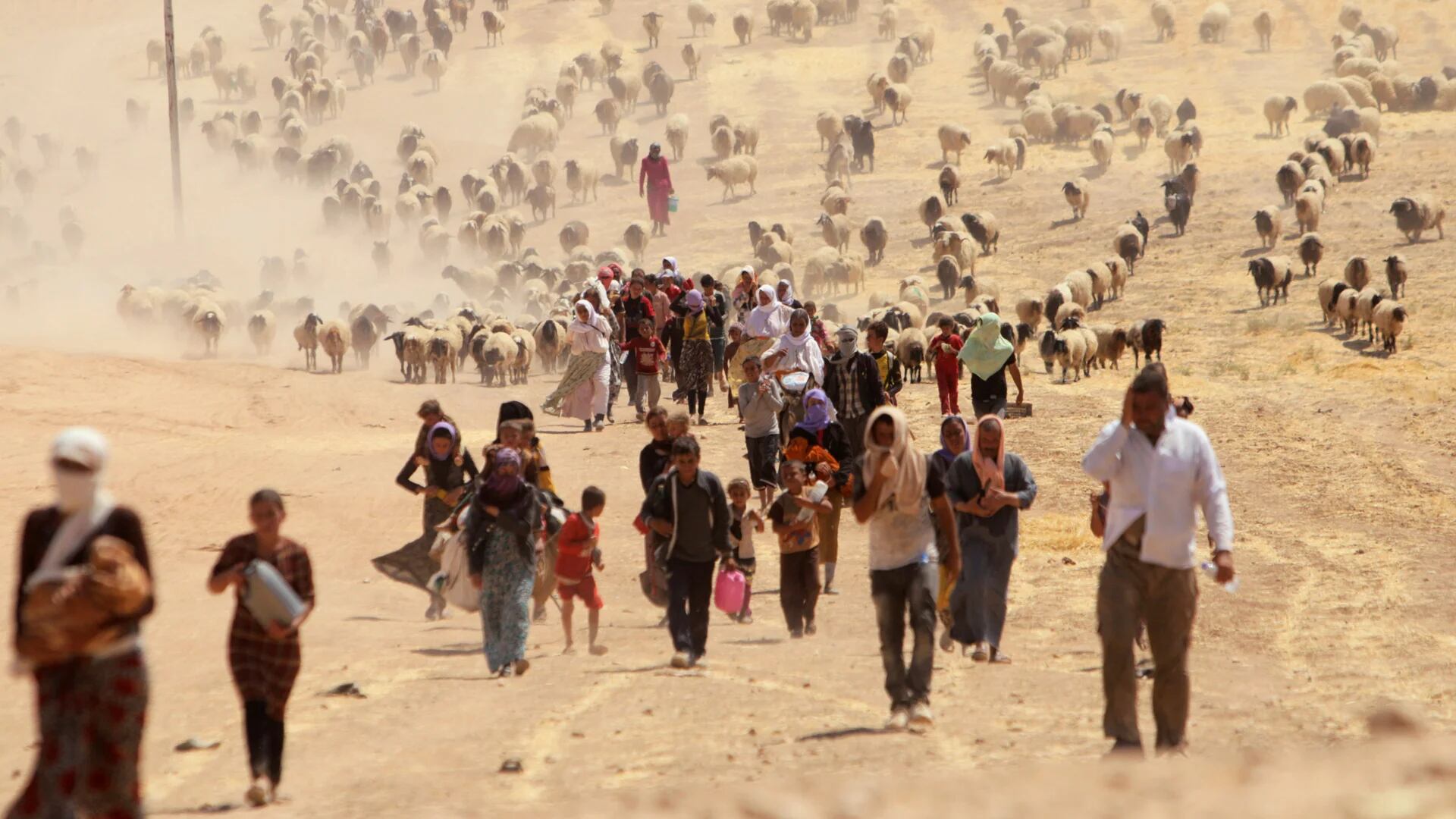 Yazidíes desplazados por la guerra (AP)