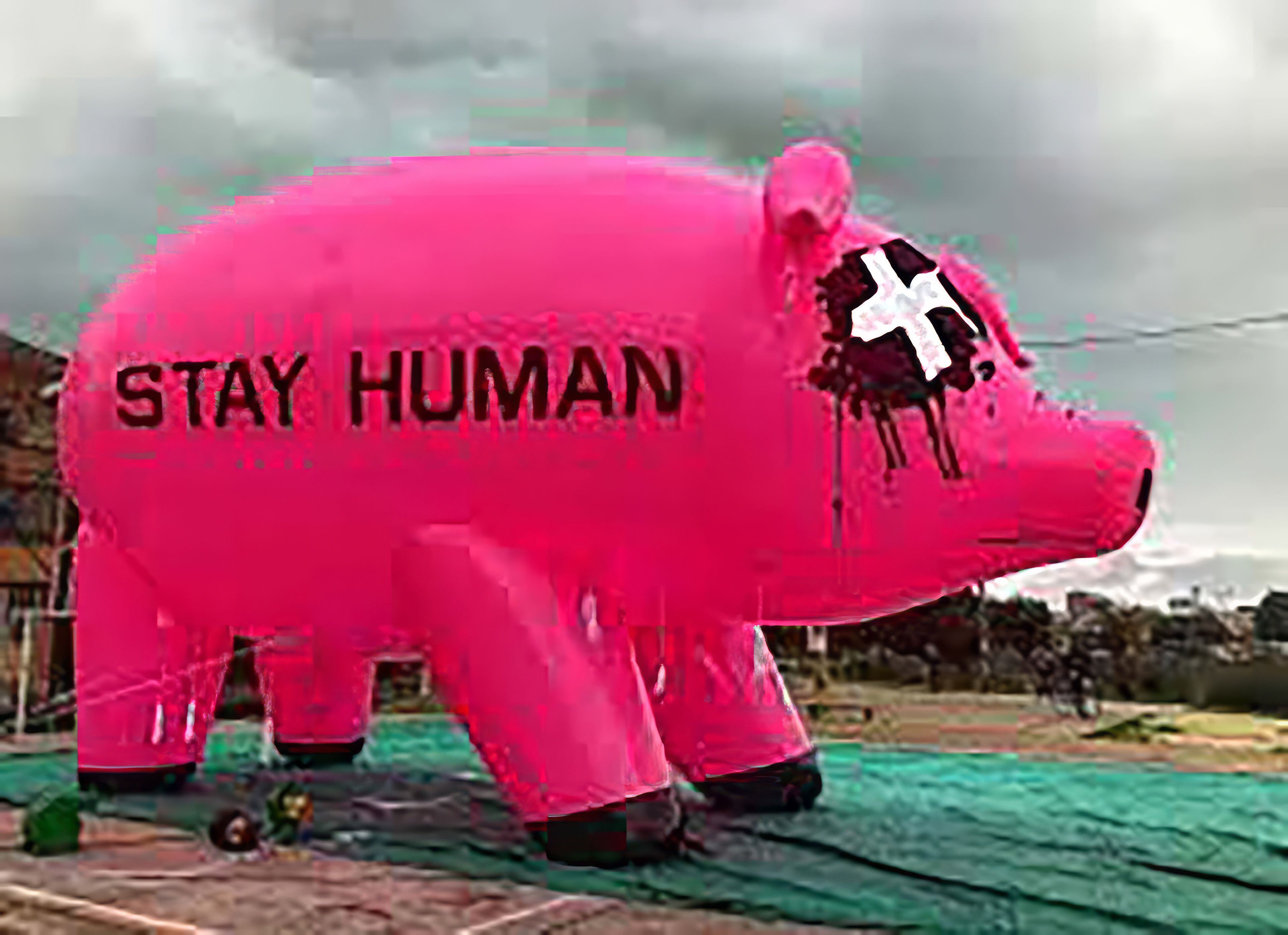 El cerdo inflable